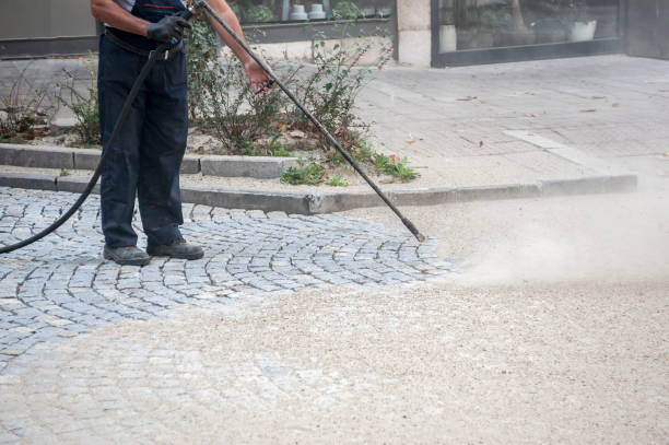 Best Concrete Surface Cleaning in Demopolis, AL